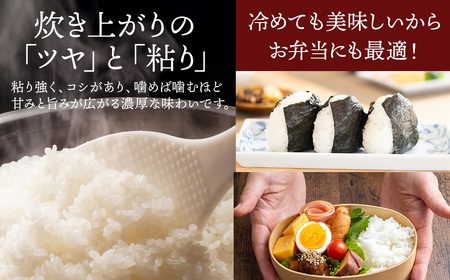 【発送月が選べる】米 5kg 新米 令和7年産 茨城県産 コシヒカリ ｜ 一等米 精米 人気 発送月 選べる 白米 お米 白米 こしひかり コシヒカリ5kg コメ こめ ブランド米 R7年産 茨城県 常総市 茨城県常総市産 年末年始 お中元 お歳暮 内祝い 快気祝い