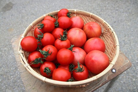 うめちゃんトマト(大玉トマト・中玉トマト 合計約1.5kg)｜野菜 やさい サラダ 甘い あまい リコピン ハウストマト 健康 食物繊維 美容 美肌 新鮮 食品 食材 ダイエット ヘルシー パスタ ソース 料理 調理 ※2026年4月下旬～6月上旬頃に順次発送予定 ※沖縄・離島への配送不可