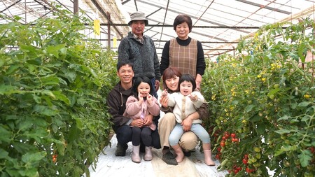 うめちゃんトマト(大玉トマト・中玉トマト 合計約1.5kg)｜野菜 やさい サラダ 甘い あまい リコピン ハウストマト 健康 食物繊維 美容 美肌 新鮮 食品 食材 ダイエット ヘルシー パスタ ソース 料理 調理 ※2026年4月下旬～6月上旬頃に順次発送予定 ※沖縄・離島への配送不可