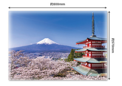 大きいおふろポスター【富士山と桜】マグネットシート製