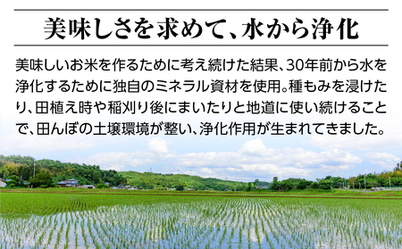 令和六年産特別栽培米コシヒカリ4.5kg 精米 