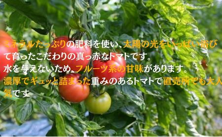 ミネラルトマト（大玉完熟トマト）4kg満杯詰め（15個～24個） | 大玉 甘味 甘い 濃厚 ミネラル 旬 茨城県 常総市 ※2026年4月上旬～6月中旬頃に順次発送予定