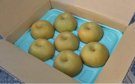 【先行予約・8月下旬以降発送】小林果樹園の甘い梨　食べ比べ5～8玉 