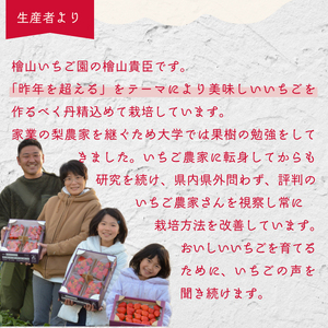 紅白いちご 食べ比べ いちご(2パック×1箱)