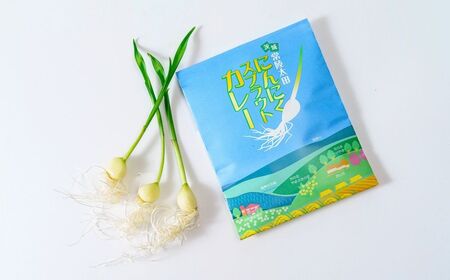 【カレー】にんにくスプラウトカレー 4食