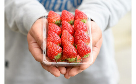 【定期コース】 手作りジャム ～いちご農家さんからの直送品～ (定期便3回) | いちごジャム ジャム