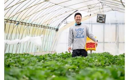 【定期コース】 手作りジャム ～いちご農家さんからの直送品～ (定期便3回) | いちごジャム ジャム