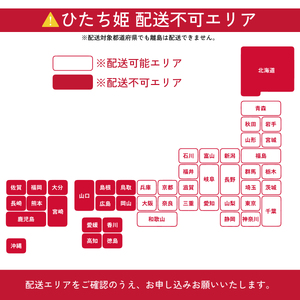 いちご 特大・デラックスサイズ ひたち姫 2パック いちご