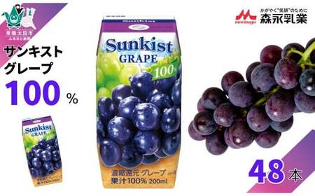 【サンキスト果汁100％ジュース】グレープ 200mL×24本 × 2箱 計 48本 | グレープ ぶどう