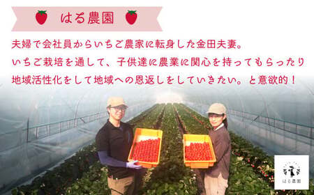 いちご いばらキッス 約260g×4パック 産地直送いちご
