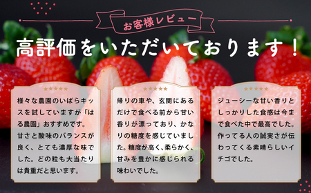 いちご 平詰めデラックス いばらキッス 約280g×2パック 1箱