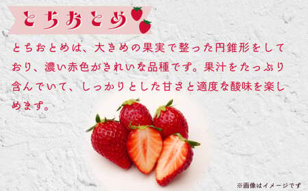 いちごグランプリ大賞受賞 完熟いちご4パック