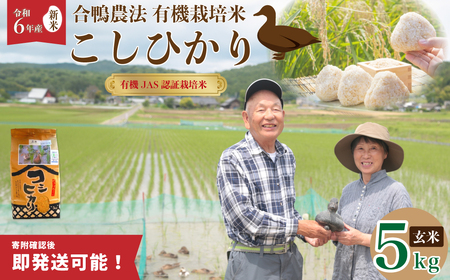 【令和5年産】合鴨常陸青龍米　玄米5キロ【茨城県 常陸太田市 有機栽培米 有機栽培 お米 玄米 ミネラル 地元産 青龍米 合鴨農法 合鴨農法 自然農法 安全 安心 米 こめ コメ コシヒカリ ブランド米 ツヤツヤ もっちり ふっくら 甘み 美味しい ご飯 ごはん おむすび 和食】