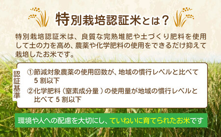 白米5kg 2週間以内発送 ミルキークイーン 低アミロース つくばの星