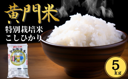 【令和6年産】特別栽培米 コシヒカリ 白米５kg | お米 米 こめ ｺﾒ ｺｼﾋｶﾘ ﾌﾞﾗﾝﾄﾞ米 ｺｼﾋｶﾘ 白米 ｺｼﾋｶﾘ 精米 ごはん ｺｼﾋｶﾘ ご飯 ｺｼﾋｶﾘ 茨城県産 ｺｼﾋｶﾘ 常陸太田市産