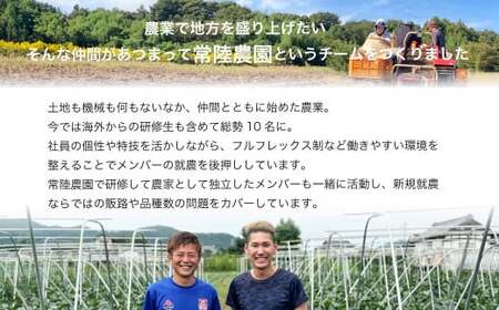 【先行予約 12月中旬以降発送】茨城県産 干し芋 平干し 箱詰め 2㎏ 12月中旬以降発送 |  国産 干し芋 ほしいも おやつ 干し芋 おやつ 芋 おやつ 干し芋 大容量 干し芋 箱入り 干し芋 箱 干し芋 べにはるか 干し芋 ほし芋 さつまいも 干し芋 ほしいも スイーツ 干し芋 ほしいも 干し芋 ほしいも お菓子 ほしいも 干し芋  甘い ほしいも 干し芋 ほしいも 常陸太田 ほしいも干し芋 人気 干し芋 お取り寄せ おやつ 和菓子 個包装なし 食物繊維 おやつ 芋 おやつ 干し芋 大容量 干し芋 箱入り 干し芋 箱 干し芋 べにはるか 干し芋 ほし芋 さつまいも 干し芋 ほしいも スイーツ 干し芋 ほしいも 干し芋 ほしいも お菓子 ほしいも 干し芋  甘い ほしいも 干し芋 ほしいも 常陸太田 ほしいも干し芋 人気 干し芋 お取り寄せ おやつ 和菓子 個包装なし 食物繊維