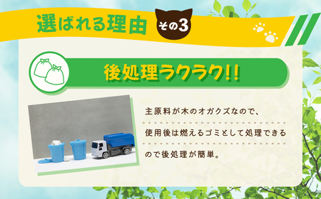 【6か月定期便】【木製 大粒】猫用 トイレ砂 6L ひのきの香り 固まる 燃やせる 流せる 天然素材 猫 猫砂