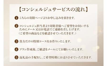 【提案型】コンシェルジュコース（30万円）(BM103)