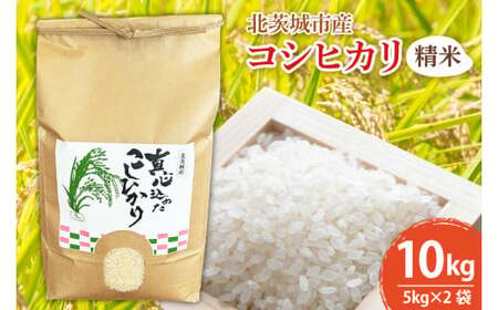 BN002-1　【先行予約】【令和６年産】【数量限定】新米　コシヒカリ精米10kg