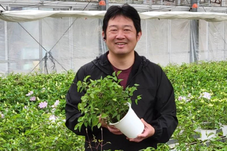 【先行予約】【長谷川園芸】品種おまかせブルー系クレマチス5寸【母の日 ギフト プレゼント 贈答 花のある生活】(AT210)