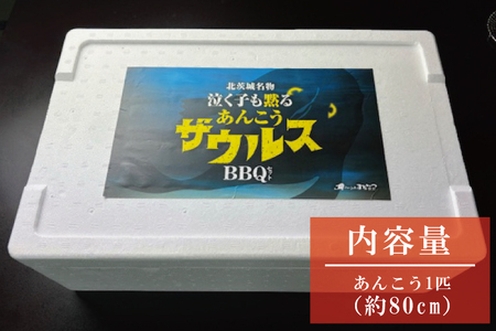 【ふるさと納税限定】あんこうザウルスBBQセット（AM111）