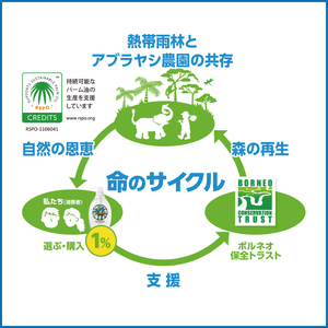 【3ヶ月定期便】ヤシノミ洗剤1000mL詰替用 1ケース(8本入)×3回【30970】【サラヤ SARAYA 天然素材 食器 野菜 洗剤 食器用洗剤 ヤシノミ洗剤 食器用 中性洗剤 キッチン洗剤 台所洗剤 無添加 無香料 saraya 茨城県 北茨城市】(CL157)