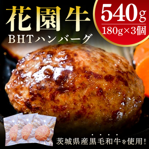 花園牛　BHTハンバーグ 180ｇ×3個【ハンバーグ 肉 お肉 贅沢 冷凍 茨城県 北茨城市】(BY002) 11,400円