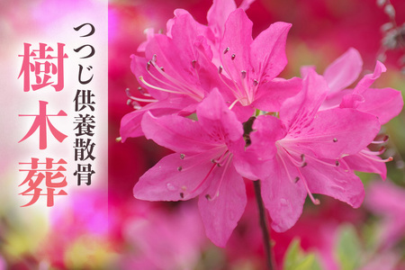 自然供養のカンシャ 樹木葬　つつじ供養散骨 JC-009