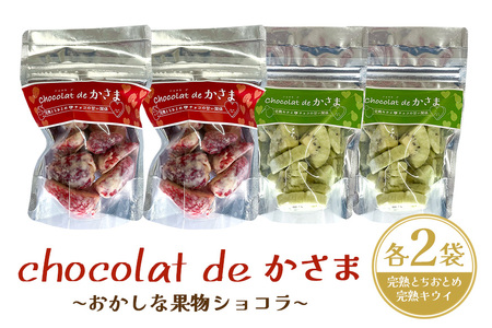 Chocolat de かさま おかしな果実ショコラ 完熟とちおとめ・キウイセット