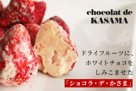 Chocolat de かさま おかしな果実ショコラ 完熟とちおとめの詰め合わせ BH-031