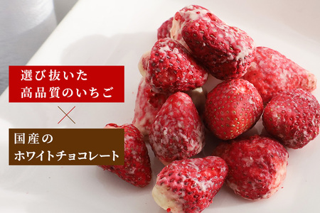 Chocolat de かさま おかしな果実ショコラ 完熟とちおとめの詰め合わせ BH-031