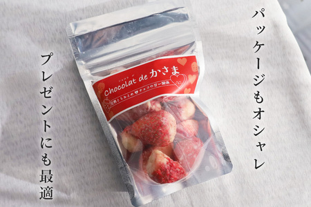 Chocolat de かさま おかしな果実ショコラ 完熟とちおとめの詰め合わせ BH-031