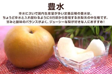 【先行予約/9月上旬から発送】 柴沼梨園の梨 （ 豊水 ） 梨 3kg 6～10個入り BX-015