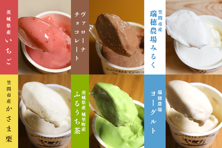 笠間市 ジェラート 6種詰め合わせ 6個セット 道の駅かさま JQ-001