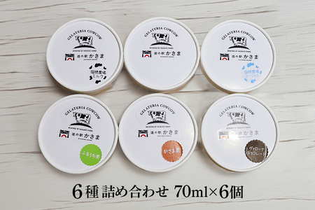 笠間市 ジェラート 6種詰め合わせ 6個セット 道の駅かさま JQ-001