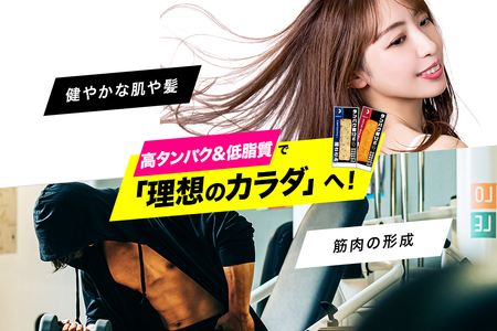 PROFIT SASAMI 20本 スパイシータンドリー プロテインバー CZ-007