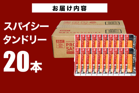 PROFIT SASAMI 20本 スパイシータンドリー プロテインバー CZ-007