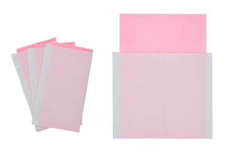 ペット用 おてがる ウンチ 処理袋 防臭 ポイ太くん 100枚×4パック 犬 猫 ペット お散歩 便利 簡単 笠間市 茨城県 JU-002