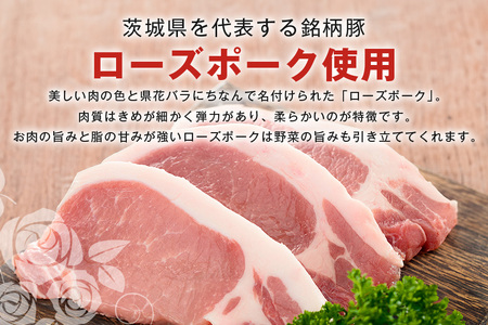 メンチカツ 10個 セット 湊屋特製