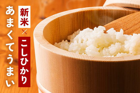 【ふるなびWEEK対象】小西農産 令和7年産 コシヒカリ 5kg 米 KE-001 FN-Limited-PR
