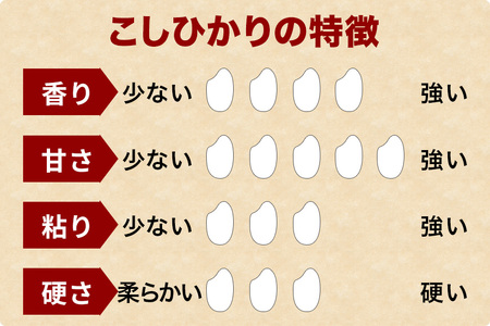 【ふるなびWEEK対象】小西農産 令和7年産 コシヒカリ 5kg 米 KE-001 FN-Limited-PR