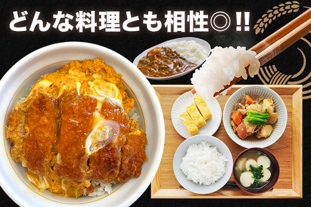 【ふるなびWEEK対象】小西農産 令和7年産 コシヒカリ 5kg 米 KE-001 FN-Limited-PR