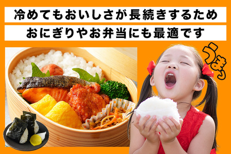 【ふるなびWEEK対象】小西農産 令和7年産 コシヒカリ 5kg 米 KE-001 FN-Limited-PR