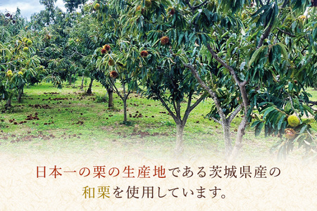 茨城県産 焼栗 6個セット 幸田商店