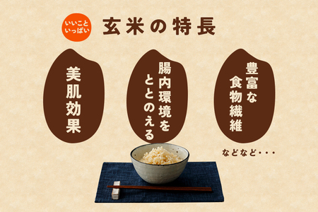 令和7年産にじのきらめき 玄米 5kg 米 FH-014