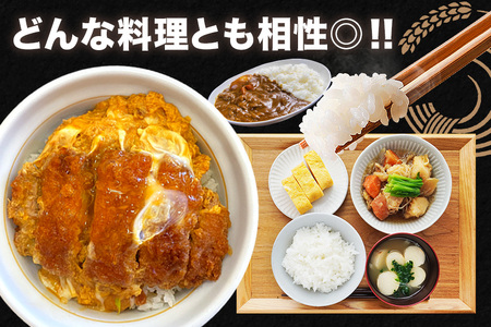 令和7年産にじのきらめき 精米 5kg 6ヵ月 定期便 (合計30kg) 米 FH-019