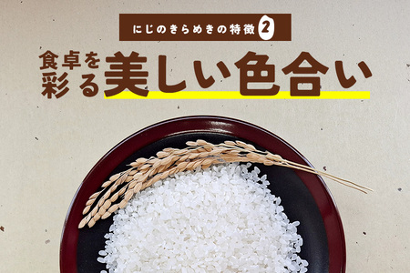 令和7年産にじのきらめき 精米 10kg 6ヵ月 定期便 (合計60kg) 米