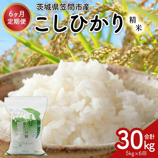 【6ヶ月定期便】令和7年度 殺虫剤・殺菌剤不使用｜こしひかり（5kg） 合計30kg 定期便 コシヒカリ 米 こしひかり 精米 ブランド米 お米 白米 5kg 国産 贈答 ギフト おにぎり 弁当 R7年産 ごはん おいしい 旨い ふっくら お米 茨城県 笠間市 いばらき BF-012