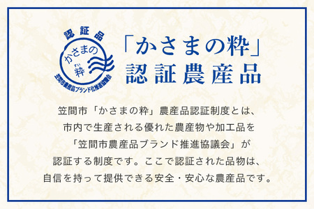 栗とチョコの贅沢な味わい「栗街道　栗 トリュフ 」(2箱セット) AB-004
