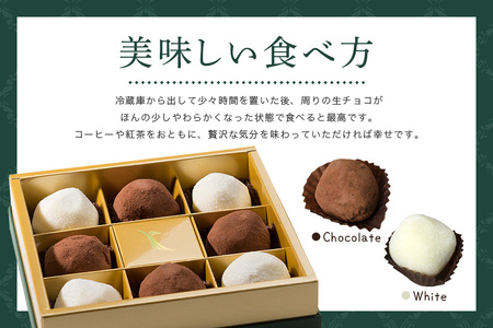 栗とチョコの贅沢な味わい「栗街道　栗 トリュフ 」(2箱セット) AB-004